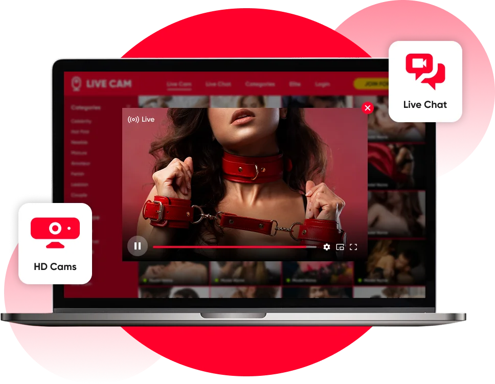 Adult Website Development Agency